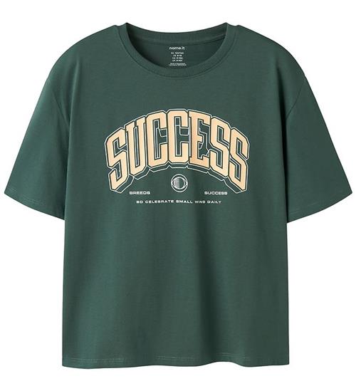Name It T-shirt - NkmValix - Garden Topiary/Succes