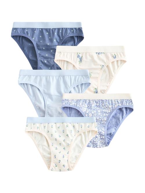 Next Underbukser  ecru / navy / lyseblå