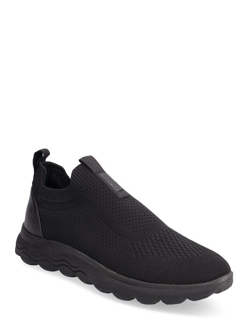 GEOX | U Spherica A | 45