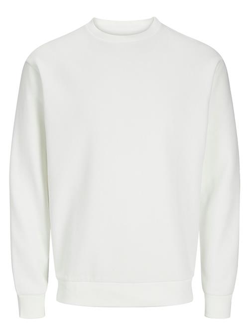Jack & Jones | Jjebradley Sweat Crew Noos | L