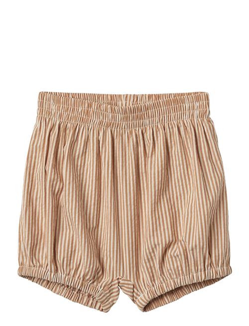 Wheat | Shorts Ollie | 92