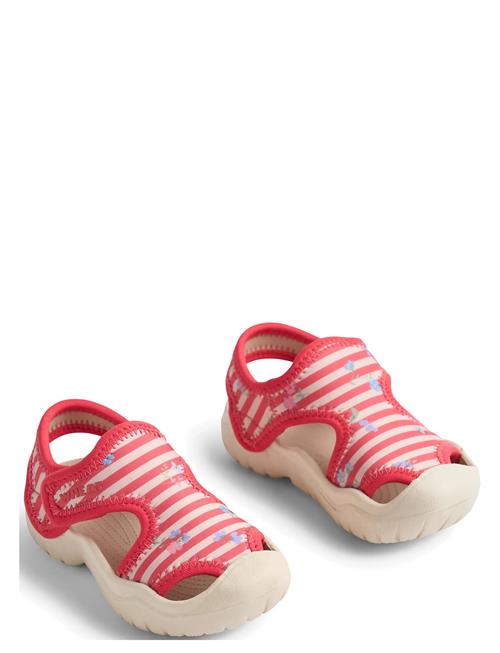 Wheat | Sandal Bani | 27
