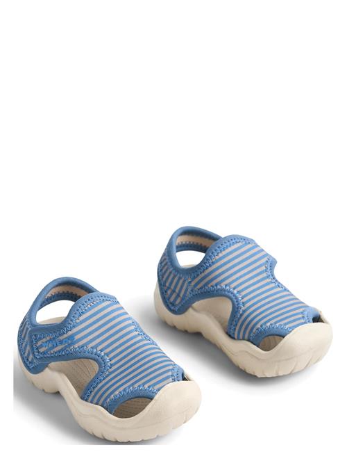 Wheat | Sandal Bani | 30