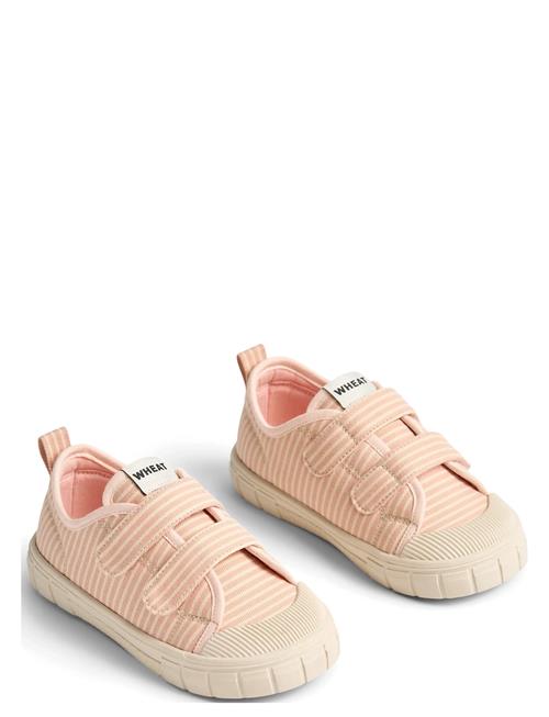 Wheat | Sneaker Bobbie | 25
