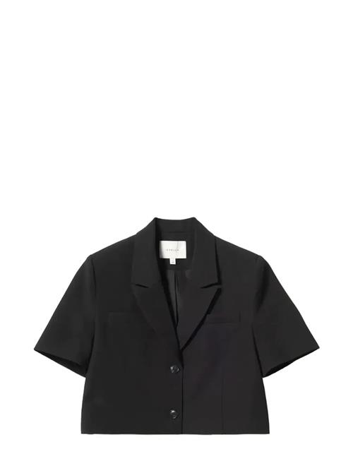 Noella | N-Leanne Crop Blazer | L