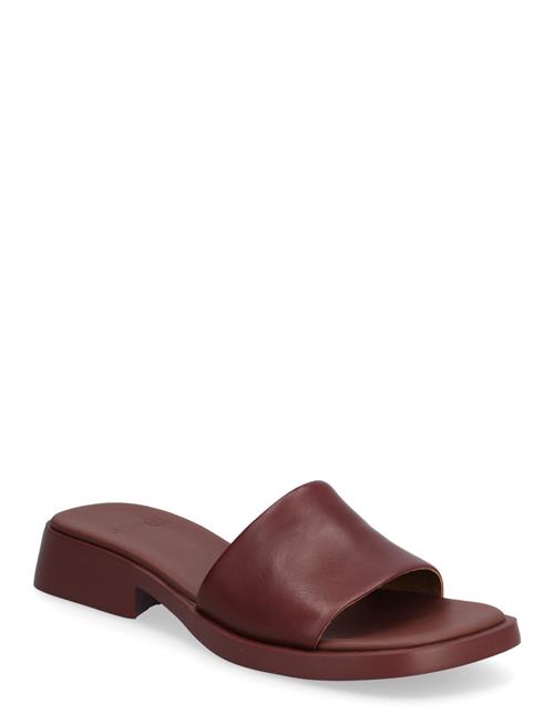 Camper | Dana | 37