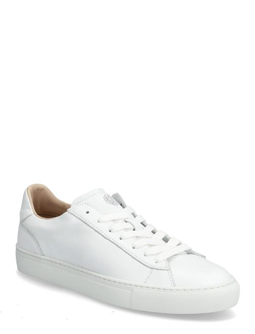Sneaky Steve | Grand White | 40