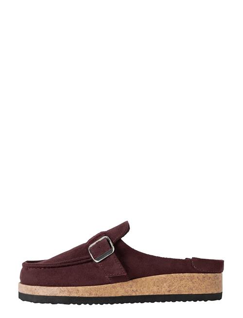 name it | Nknjavery Mules | 29