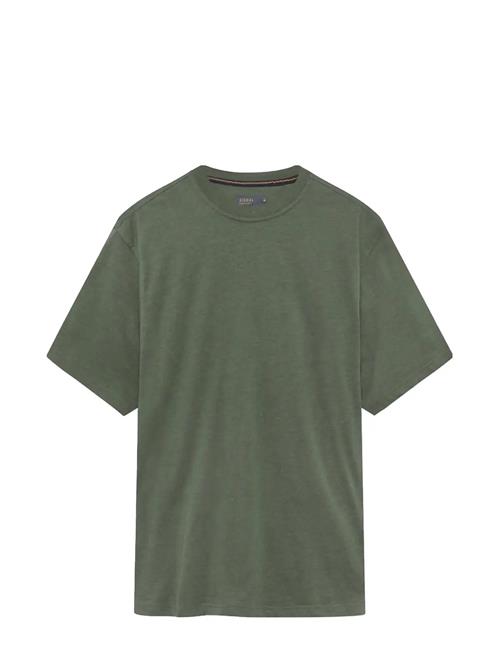 SIGNAL | Eddysi + | XL