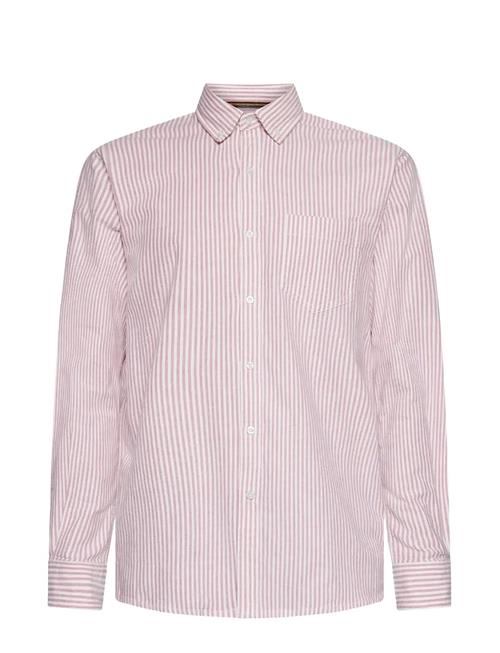 SIGNAL | Scottsi Oxford + | XL