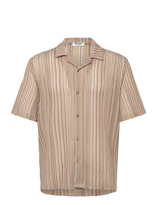 INDICODE | Inphenyl | XL