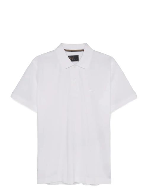 SIGNAL | Nickysi | XL