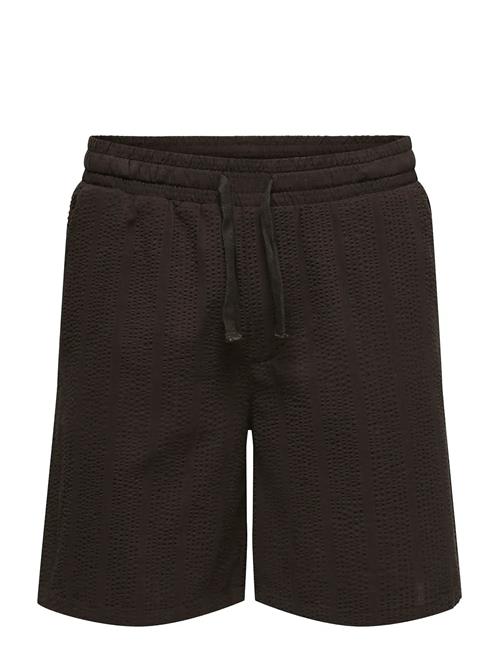 ONLY & SONS | Onscruz Seersucker Jogger Shorts | L