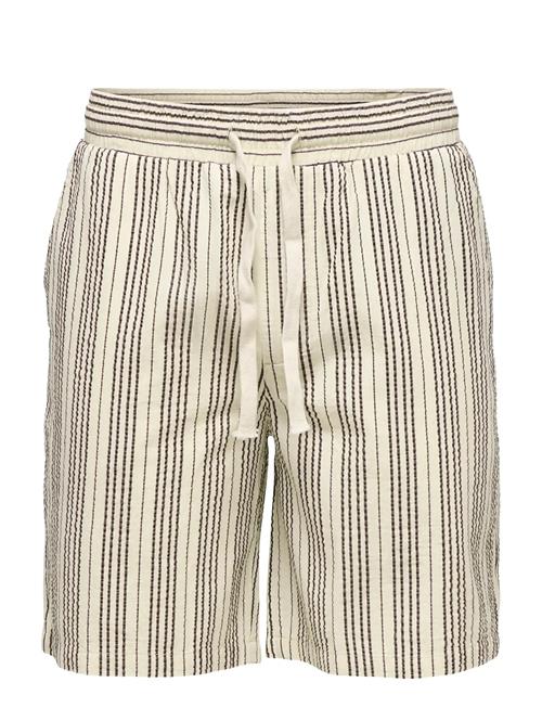 ONLY & SONS | Onscruz Seersucker Jogger Shorts | L