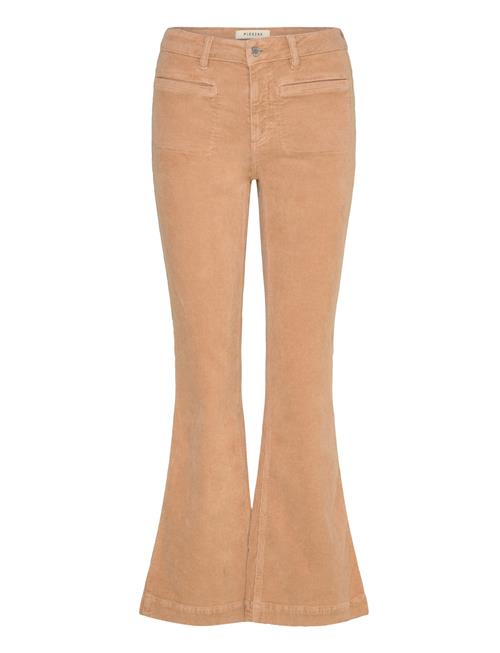 Pieszak | Pd-Cara Jeans 70'S Excl. Corduroy | 33 x 30