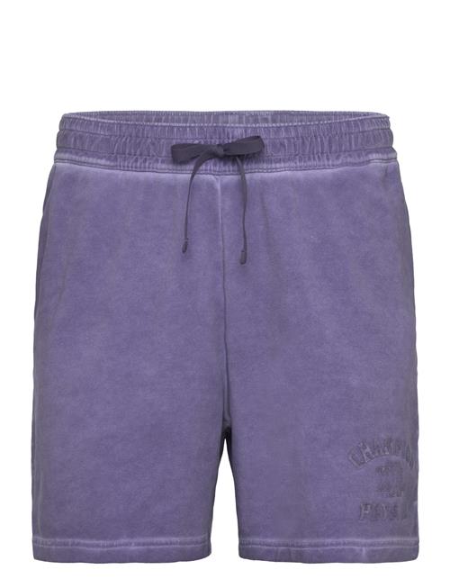 Champion | Shorts | XL