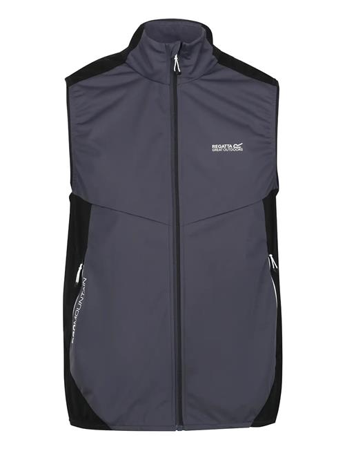 Regatta | Lankin Iv / Lankin Iv | XL