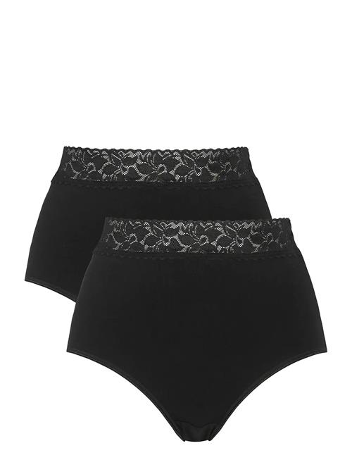 Damella of Sweden | 2-Pack Maxi Brief | XL
