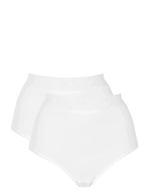 Damella of Sweden | 2-Pack Maxi Brief | XXL
