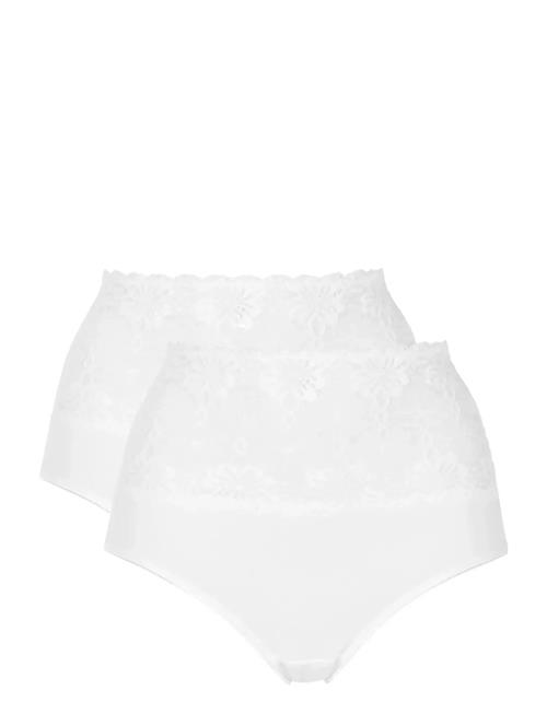 Damella of Sweden | 2-Pack Maxi Brief | XL