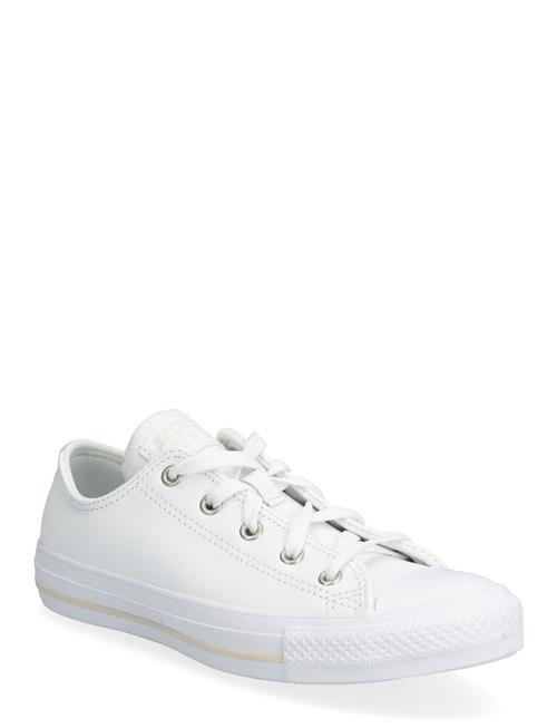 Converse | Ctas Ox White/White/Lt Orewood Brn | 37