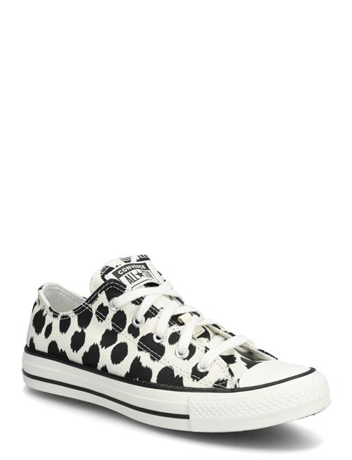 Converse | Ctas Ox Egret/Black/Vintage White | 35.5