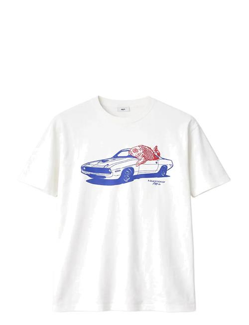 A QUESTION OF | Tee Carfish | M