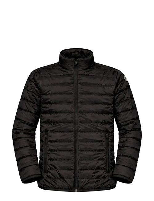 A QUESTION OF | Benn Light Down High Neck Jacket | XXL