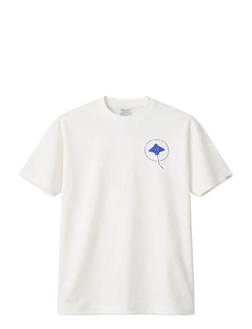 Legends | Bruce Stingray Tee | L