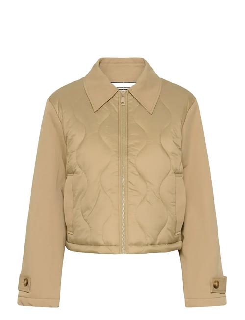 Saint Tropez | Odinasz Jacket | S