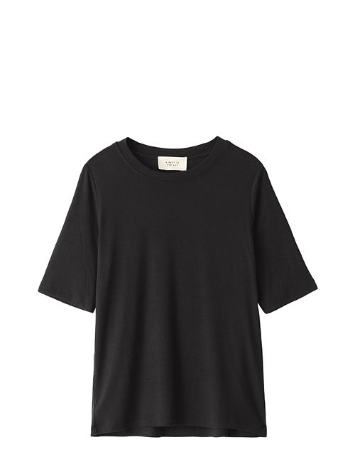 A Part Of The Art | Basic Tee | XL