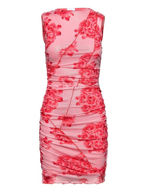 Noella | Sutton Short Dress | XXL