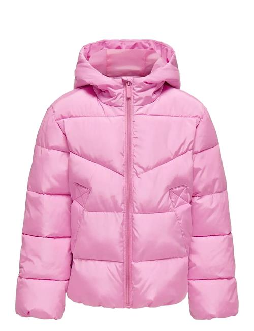 Kids Only | Kognewamanda Short Jacket Otw | 158