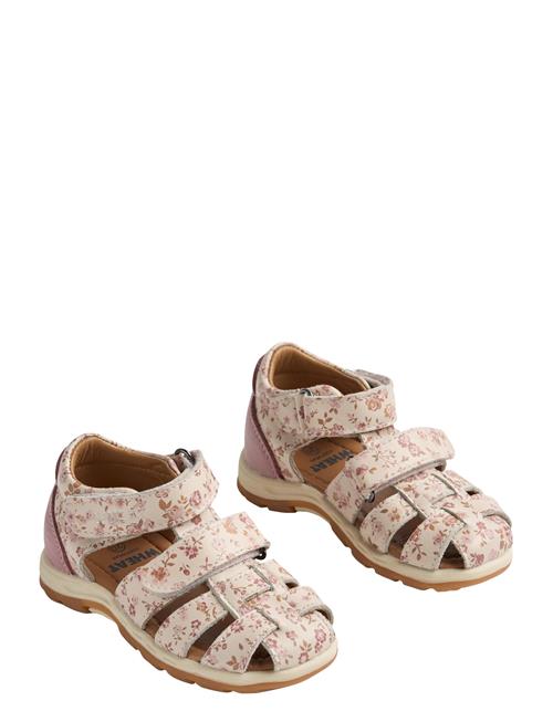Wheat | Sandal Frei | 30