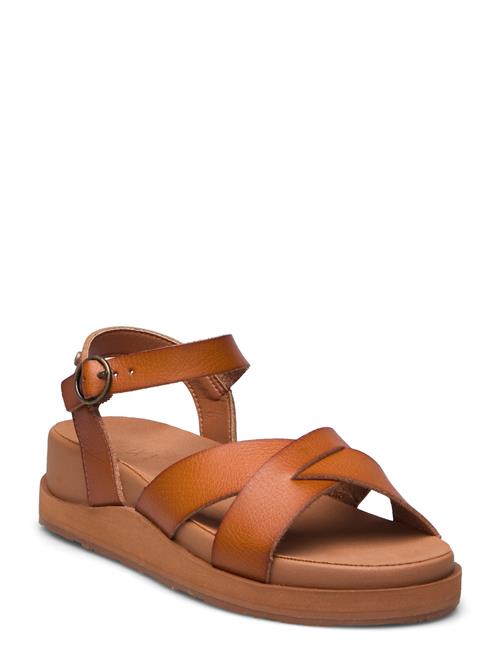 Roxy | Kamila | 38
