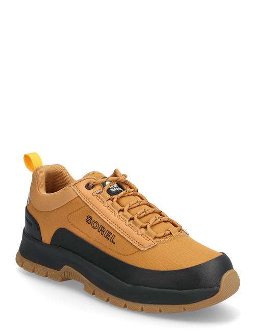 Sorel | Outing Nw Sneaker Low Wp | 41