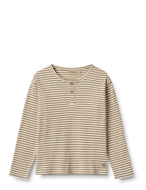 Wheat | T-Shirt L/S Morris | 92