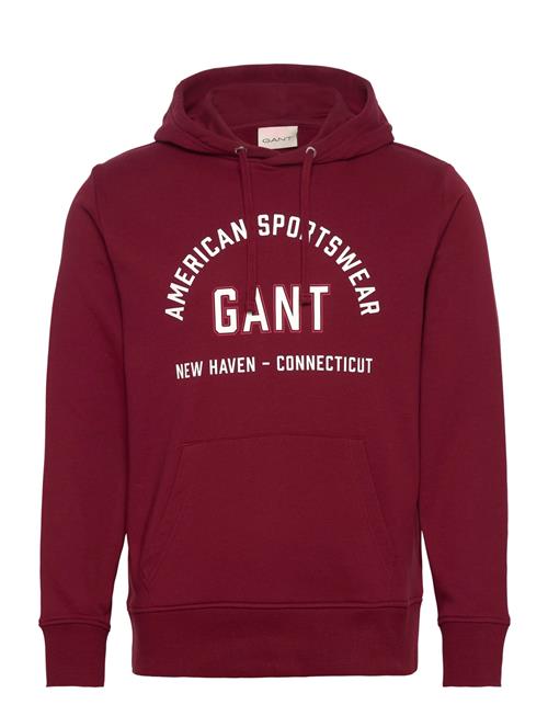 GANT | Printed Graphic Hoodie | XL