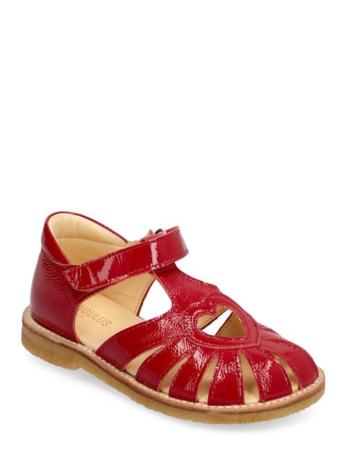 ANGULUS | Sandals - Flat - Closed Toe - | 31