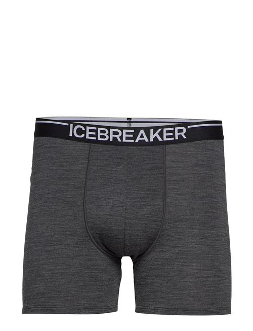 Icebreaker | M Anatomica Boxers | L