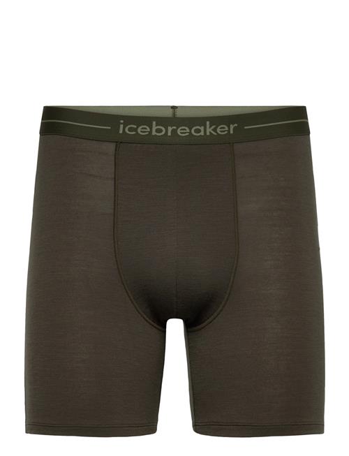 Icebreaker | M Anatomica Long Boxers | M