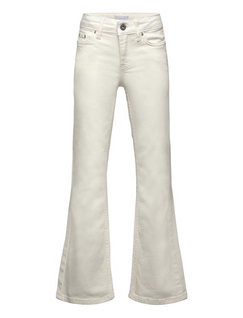 Grunt | Texas Broken White Bottoms | 146