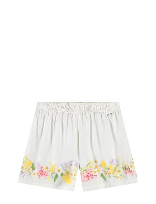 Molo | Adore | 116