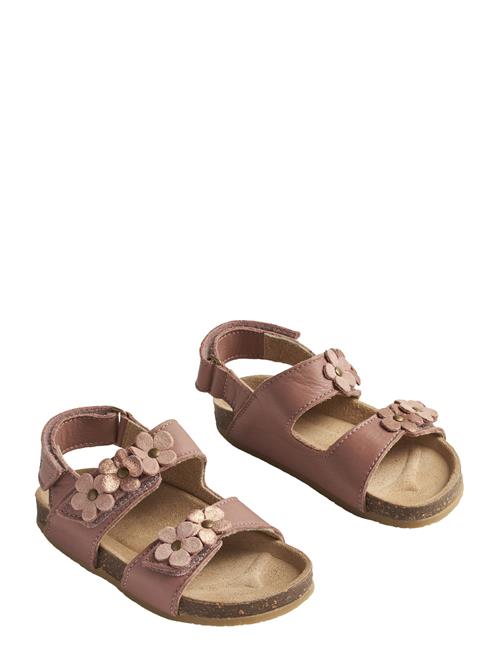 Wheat | Sandal Clare Flower | 28