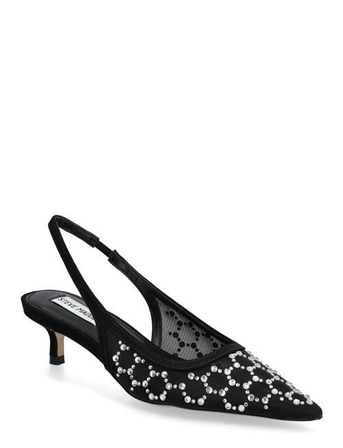 Steve Madden | Kari-Mr | 42