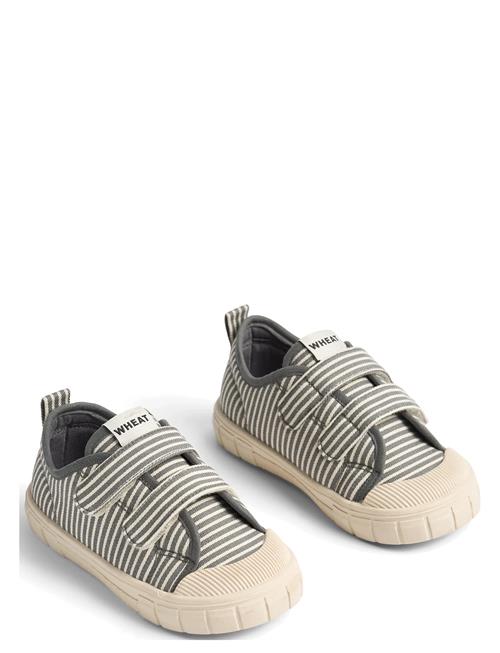 Wheat | Sneaker Bobbie | 31