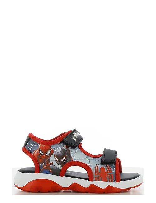 Leomil | Spiderman Sandal | 28