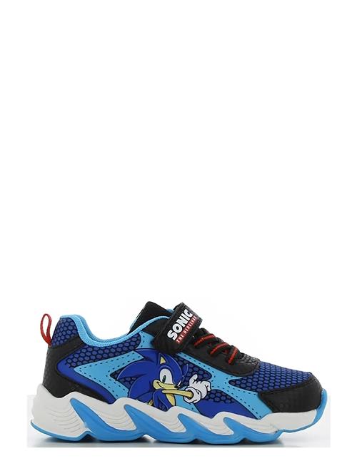 Leomil | Sonic Sneaker | 26