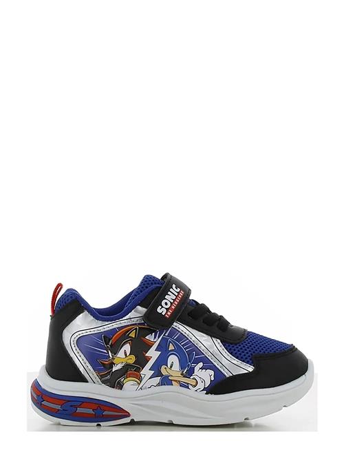 Leomil | Sonic Sneaker | 32