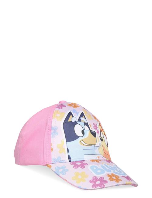 Bluey | Cap | 54